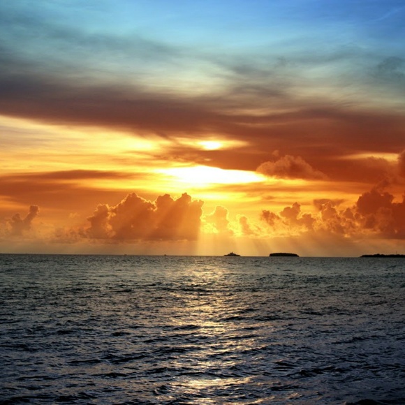 Meet your Posher, Jaye - Picture 1 of 1